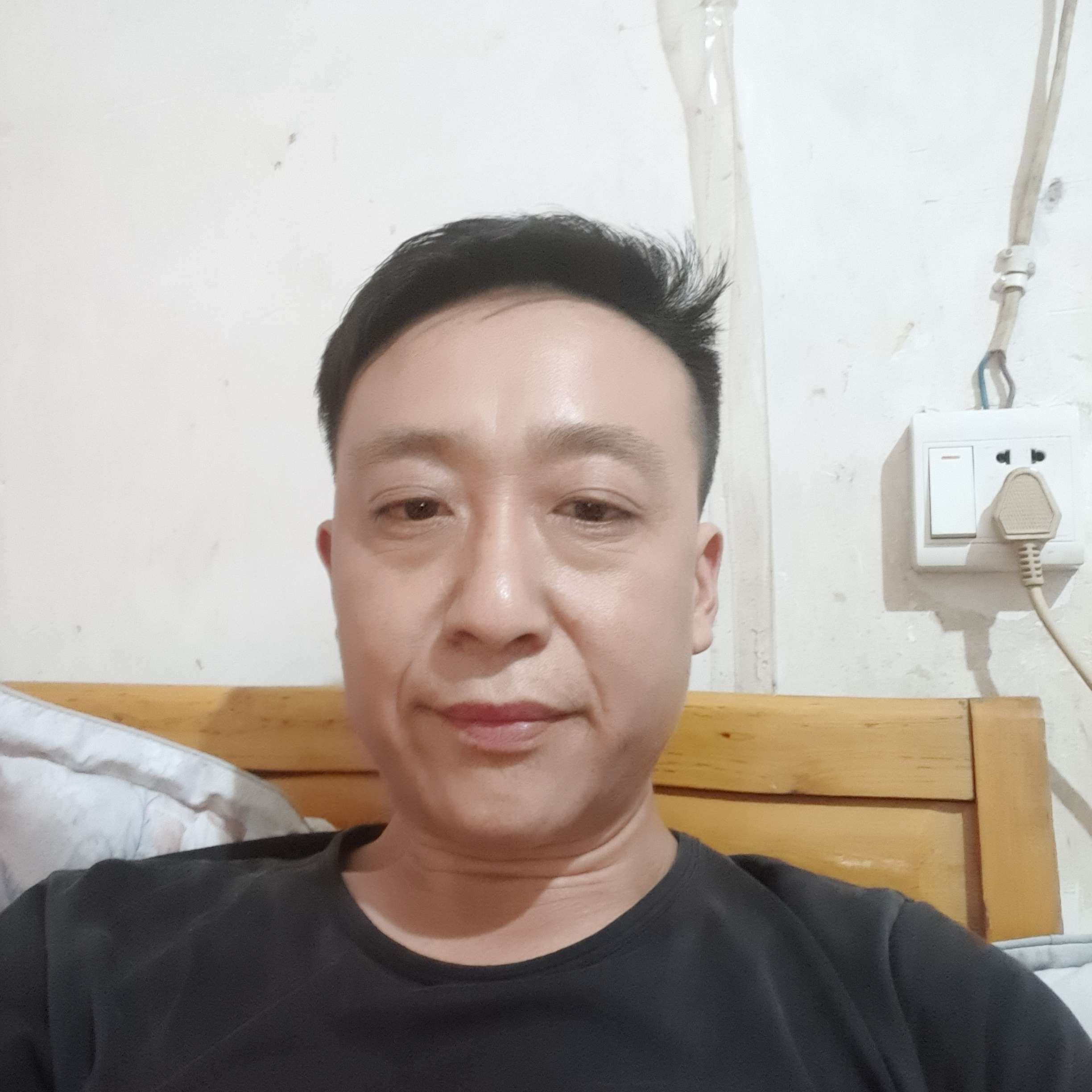 淡淡多么玫瑰的照片