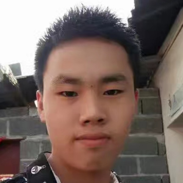 典雅苦恋小刺猬的照片