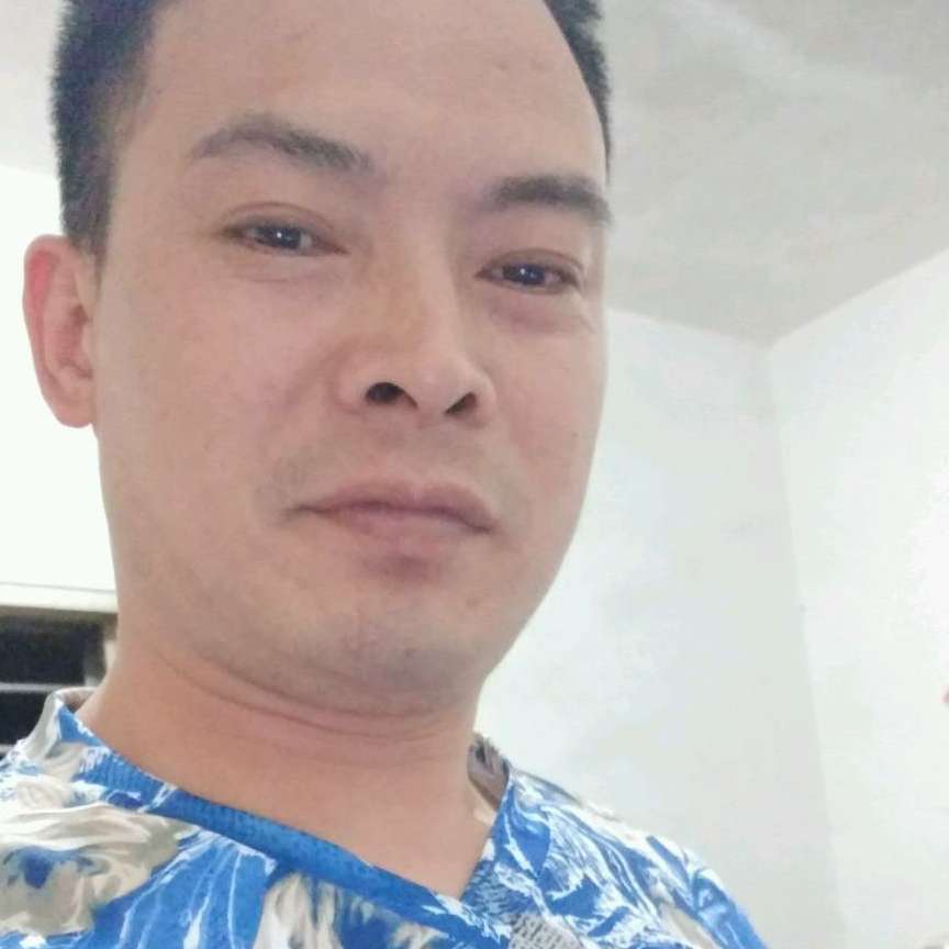 顺利的森槿的照片