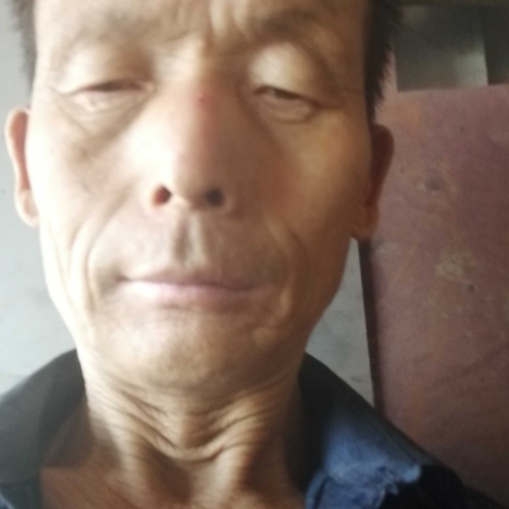 单纯邂逅无可取代的照片
