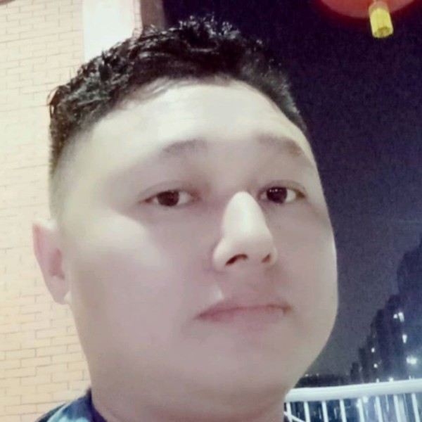 调皮倾心太阳的照片