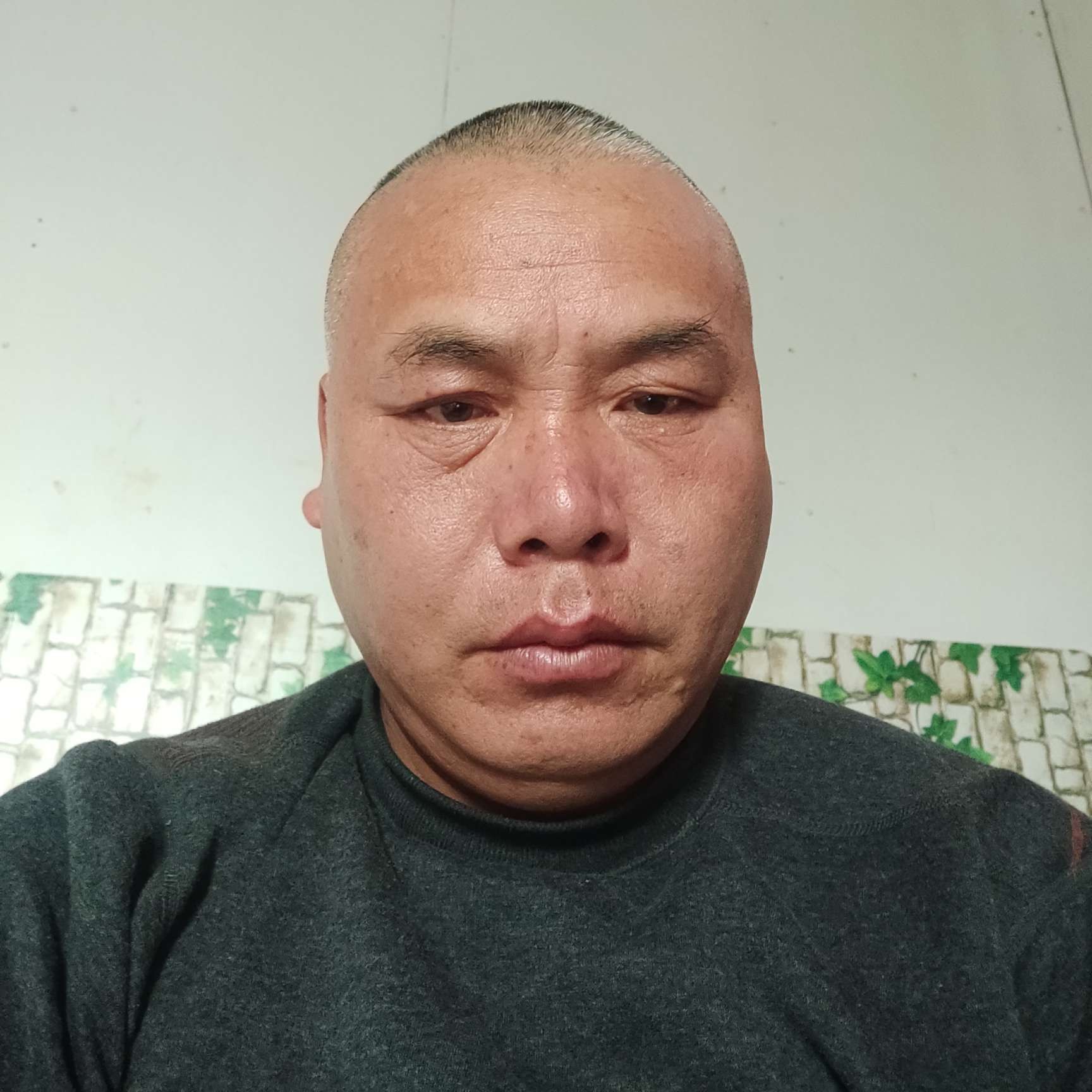 忐忑拿网络的照片