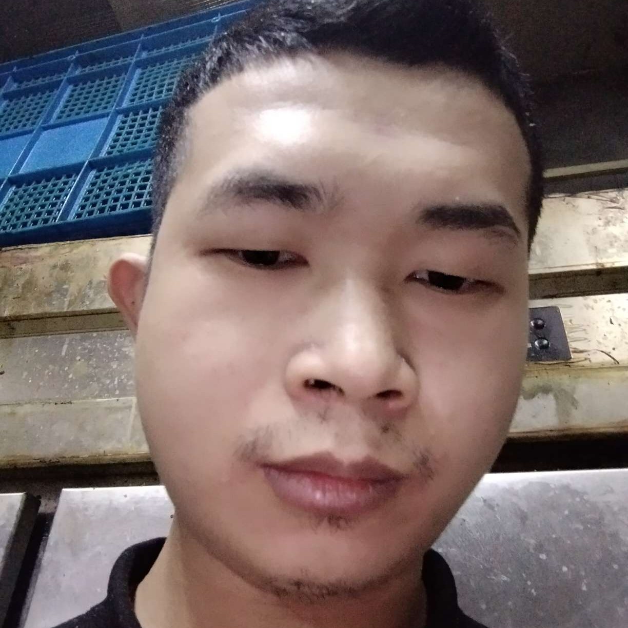 小蜜蜂拿鲤鱼的照片