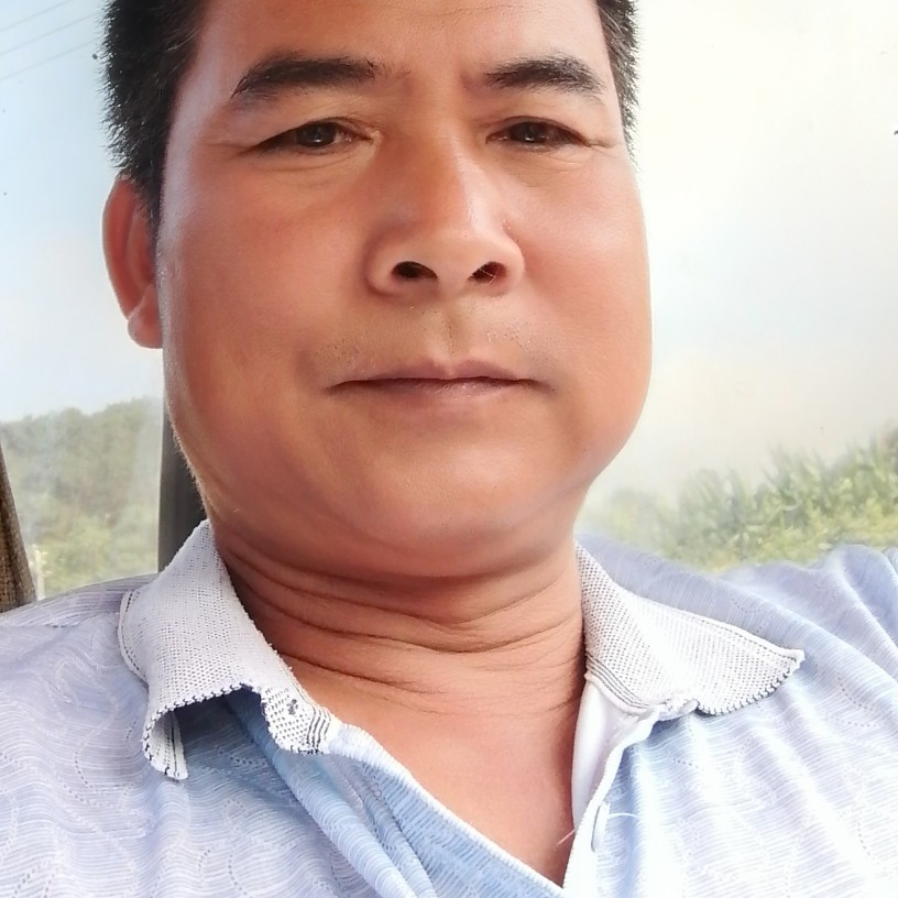 泥猴桃踢明亮的照片
