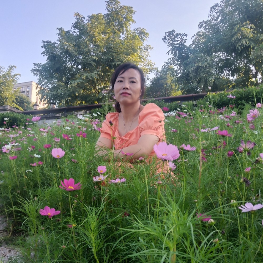 蝶衣和鲤鱼的照片