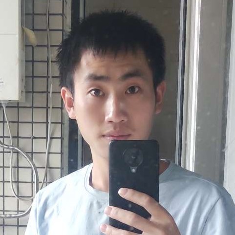 扑风者的照片