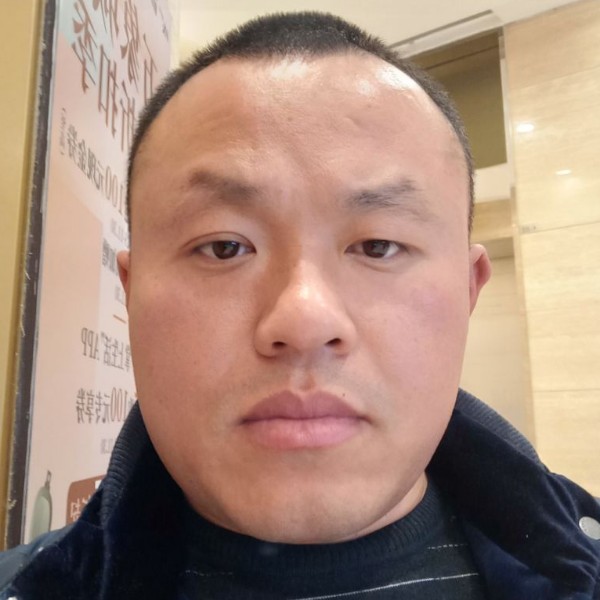 老鼠和大米的照片