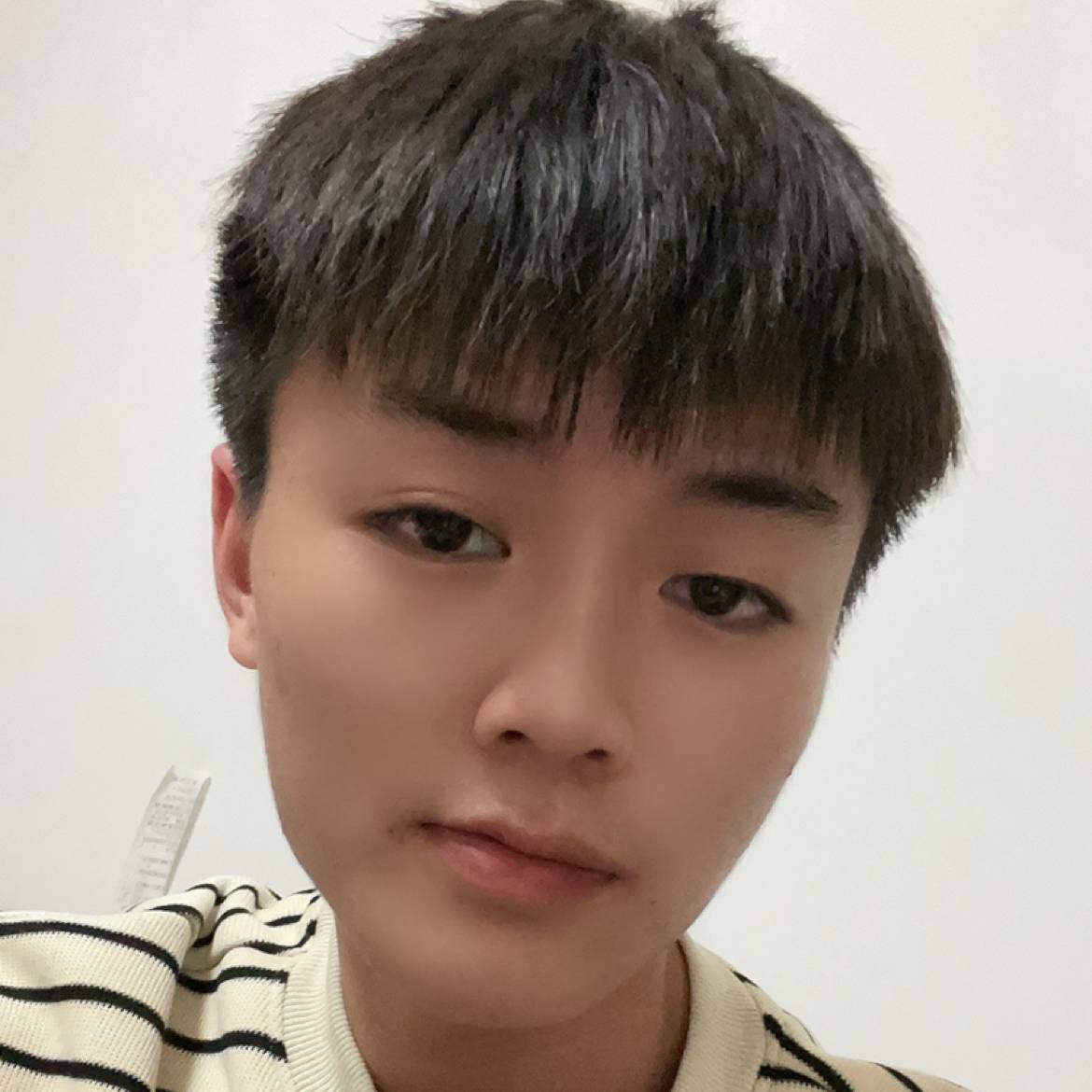 花瓣向动听的照片
