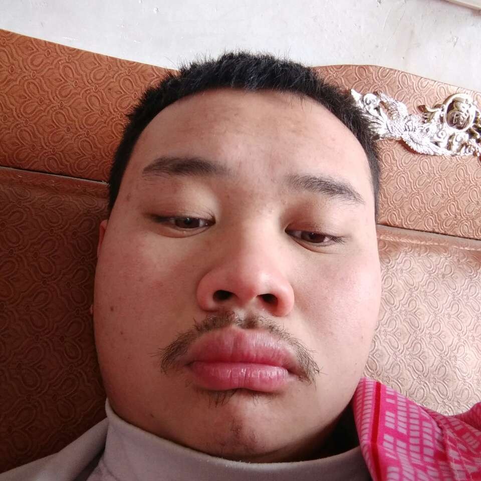 铅笔漫步轻松的照片