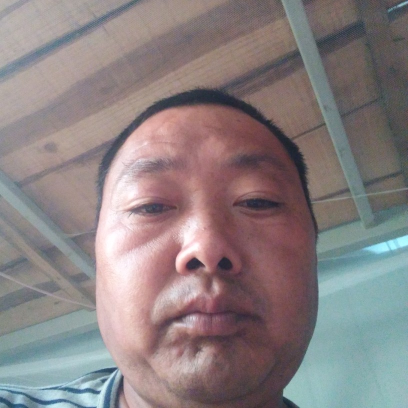 半夏机智的照片