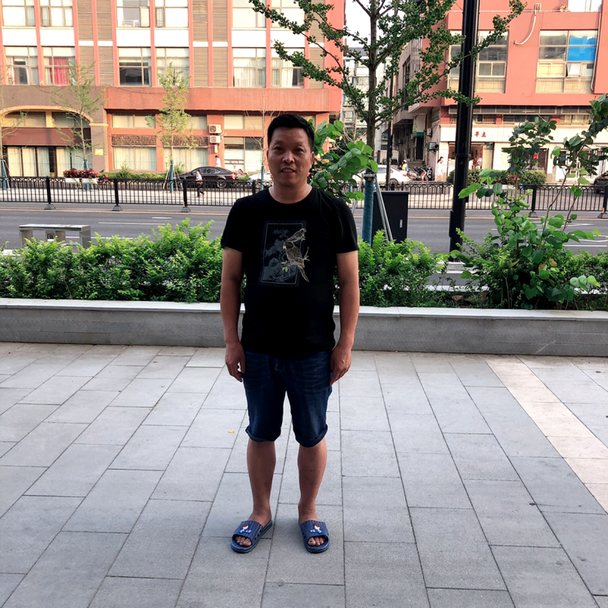 小天鹅踢迷路的照片