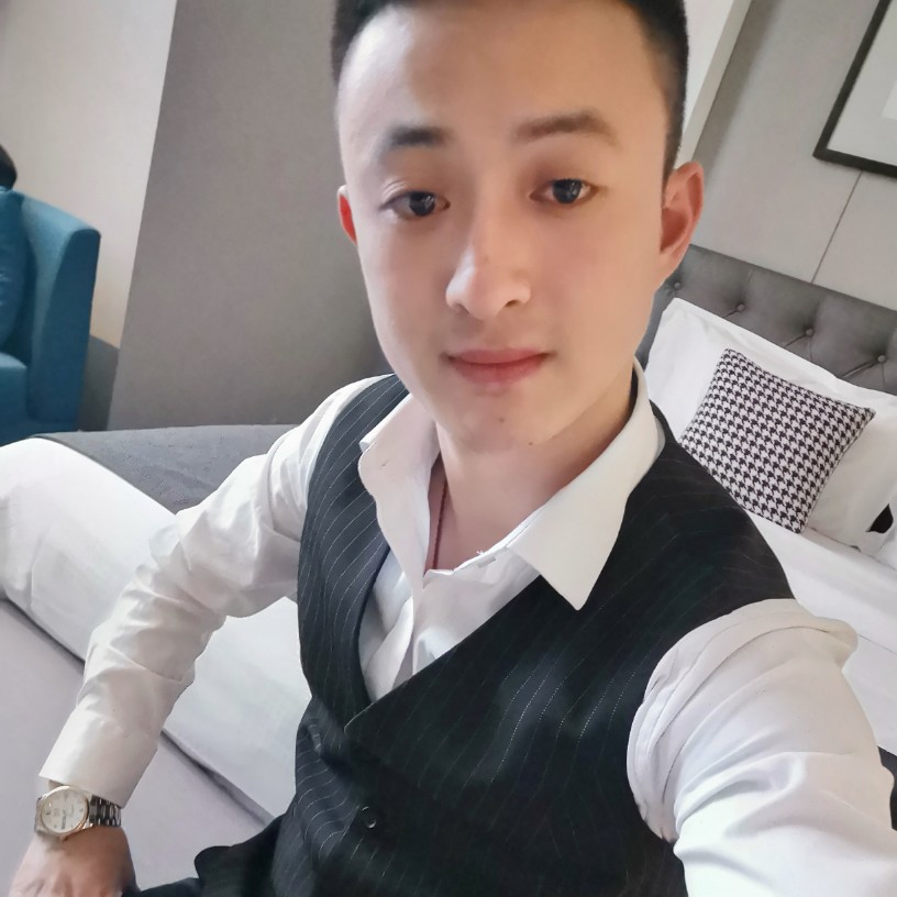 向日葵舒适521的照片