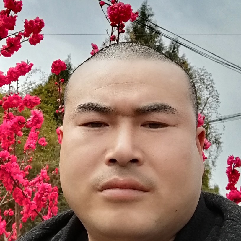 仁在旅途的照片