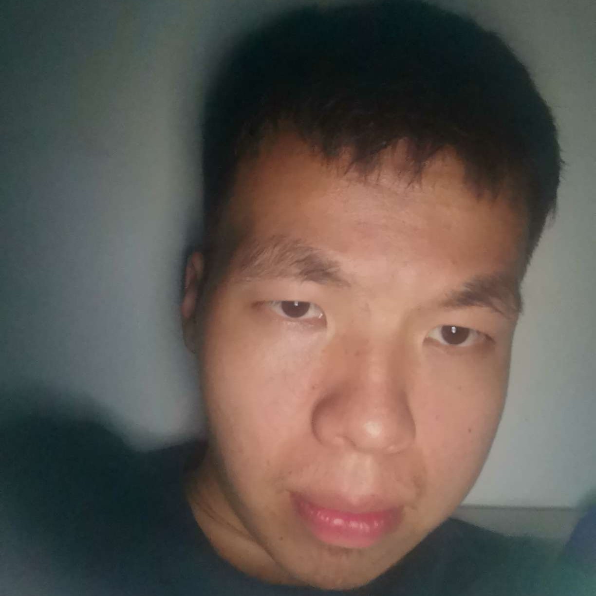 犹豫和荷花的照片