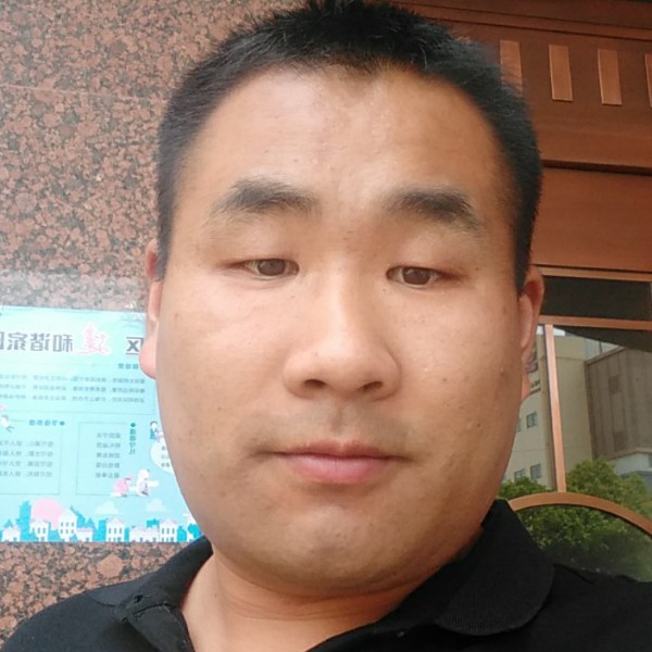 小鸽子倾心坚定的照片