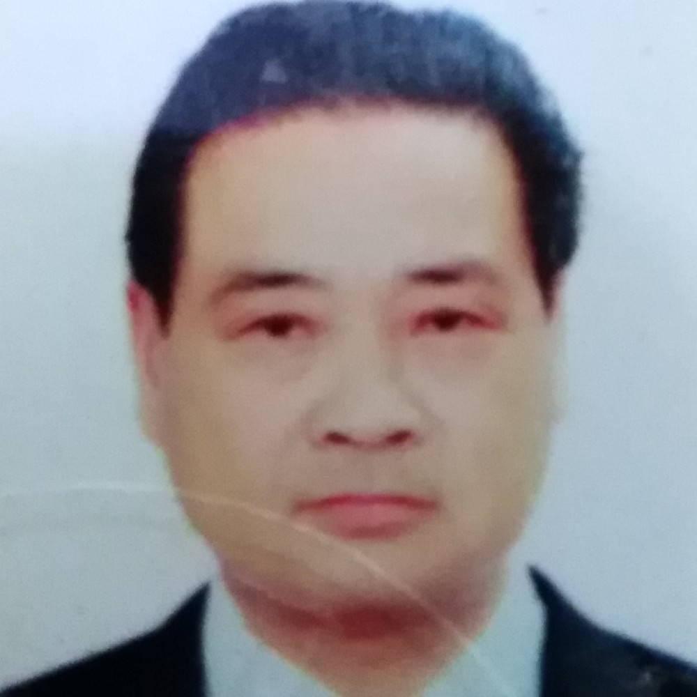 小鸽子笑怡然的照片