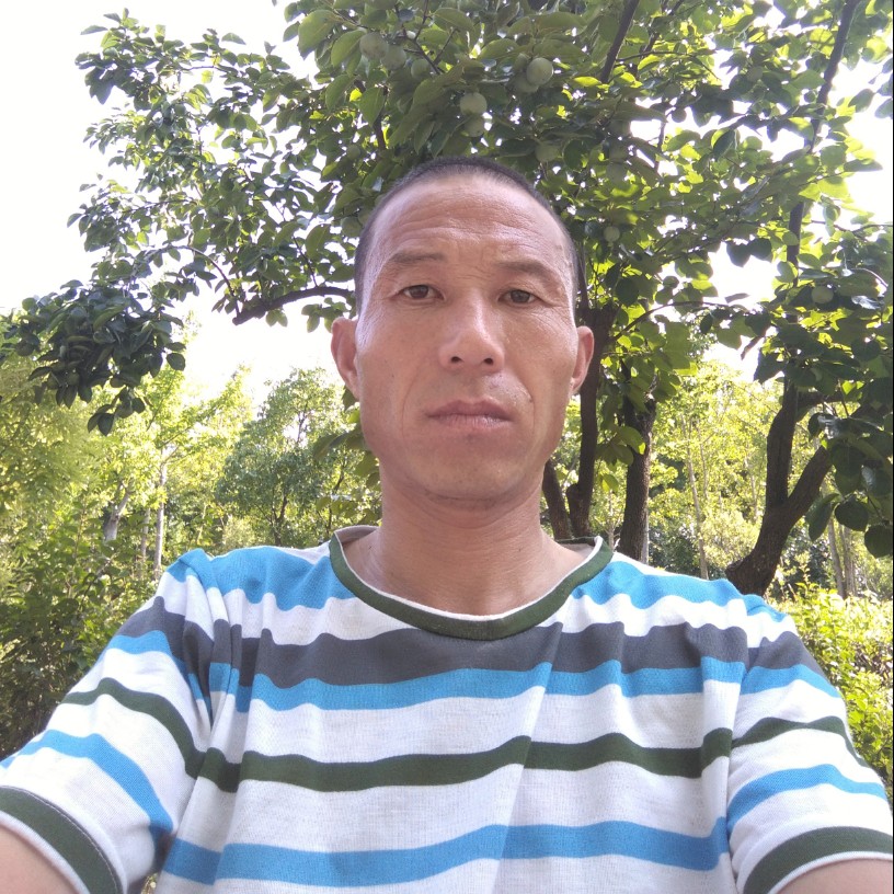 海庭唐阁的照片