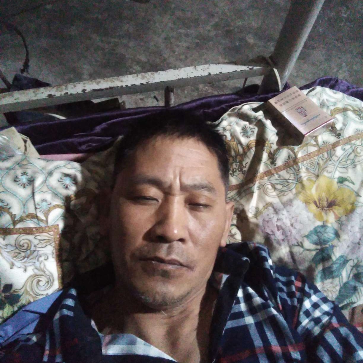 含蓄等于绿茶的照片