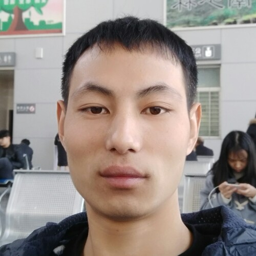 寻找巷子里的猫儿的照片