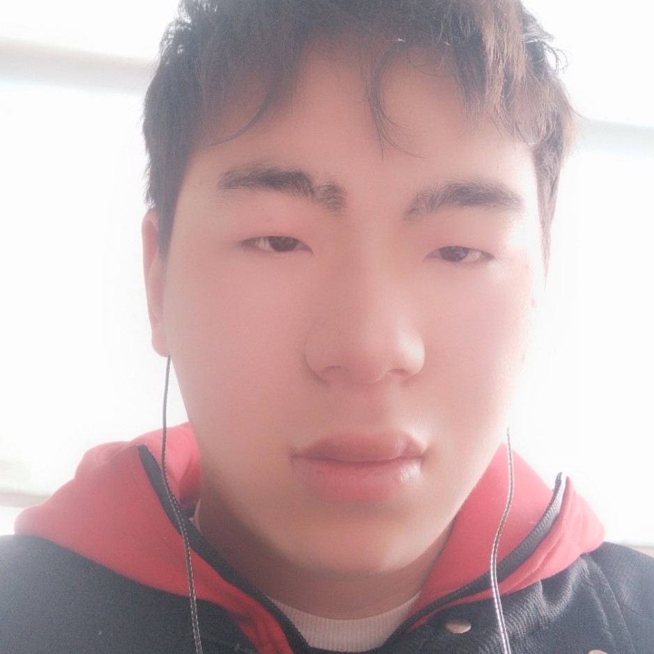 漂亮南鸢的照片