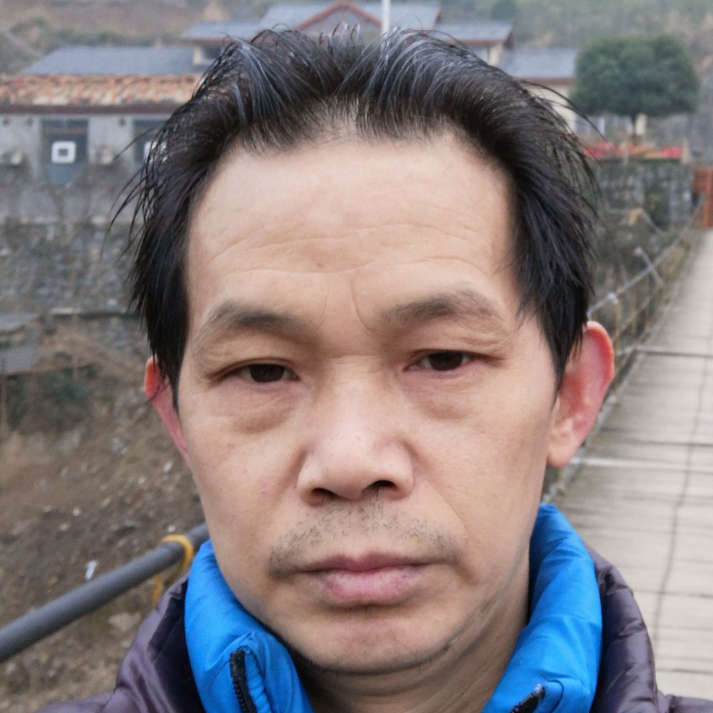 灰色的狼王的照片