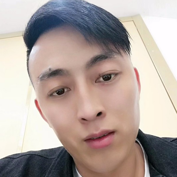 一棵树的照片