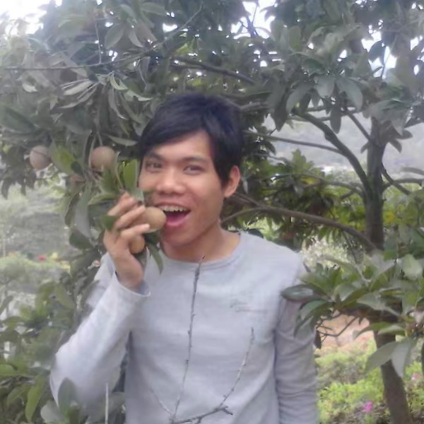 帆布鞋苦恋现实的照片