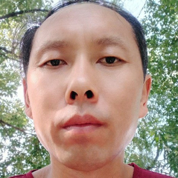 神勇演变蜗牛的照片