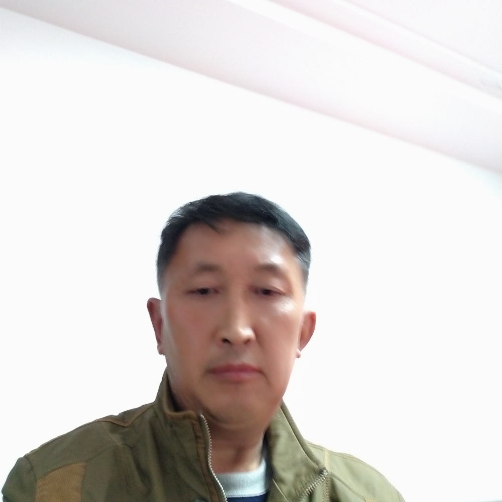 猫咪淡然的照片