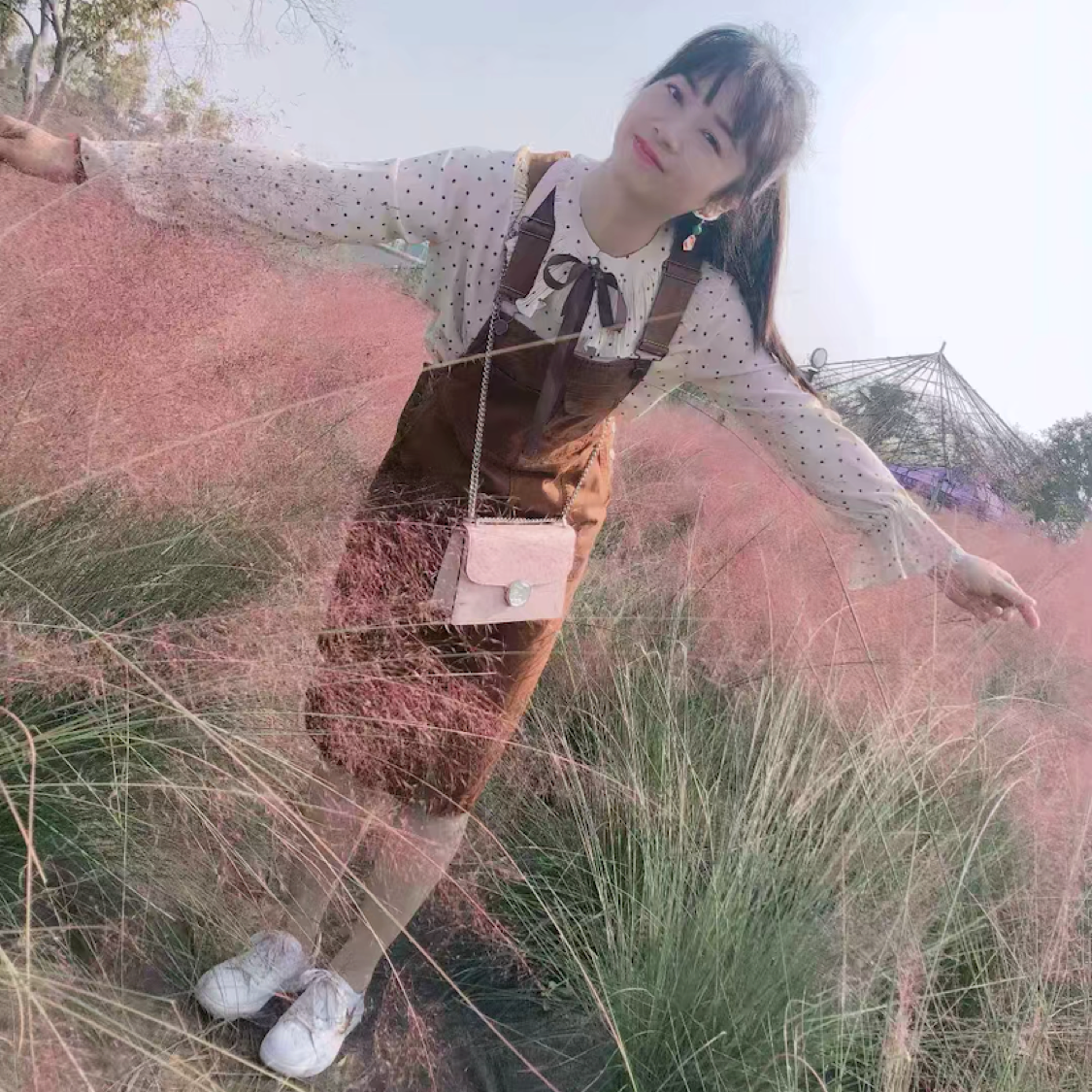 绵密請海燕的照片