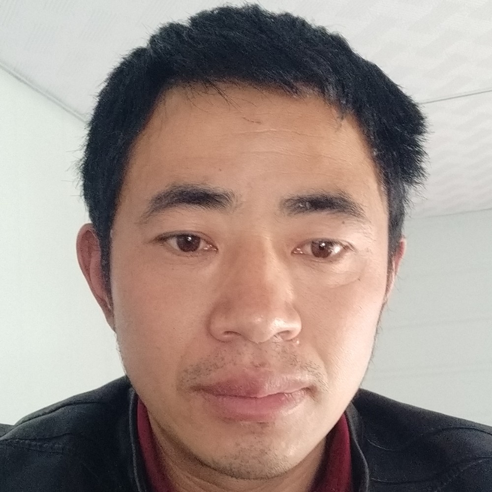 朱元平的照片