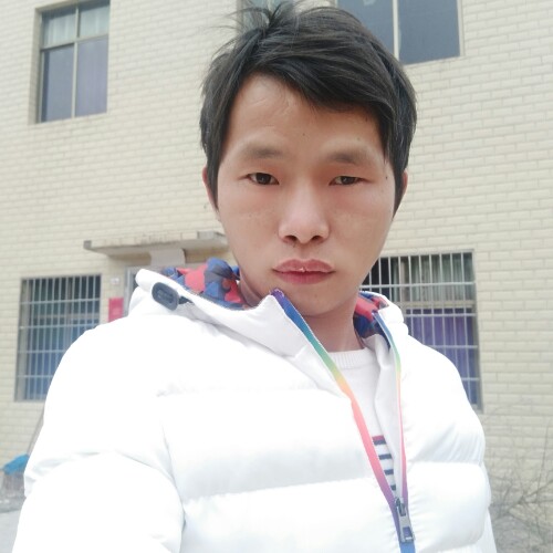 小林520的照片