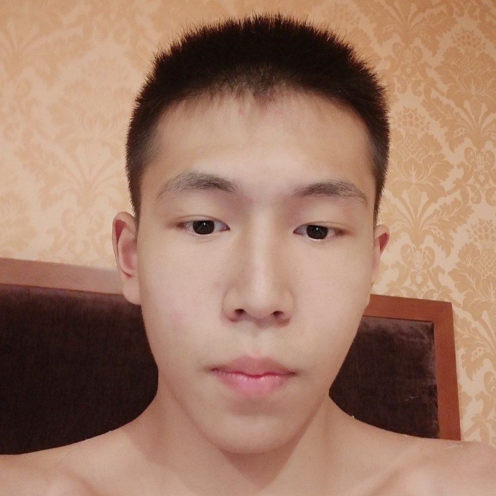 飞鸟零碎的照片