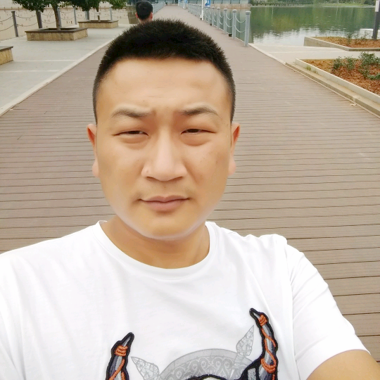 无心的小刺猬的照片