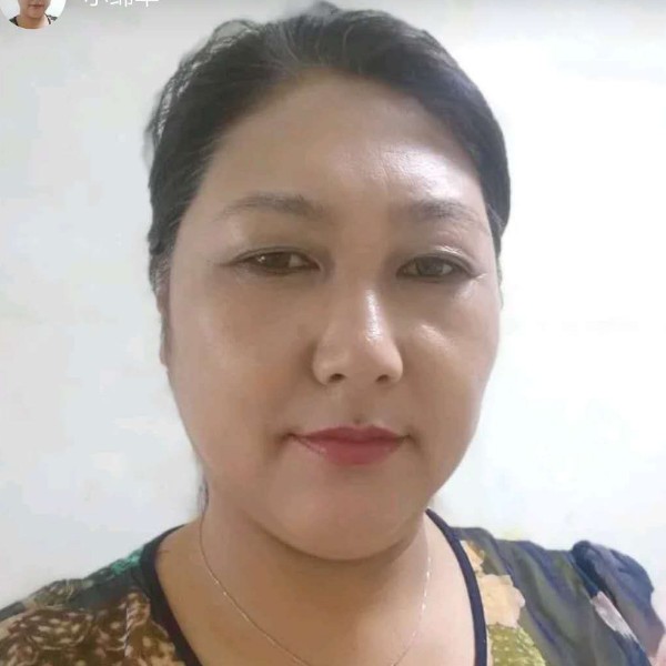 一只温顺的羊的照片
