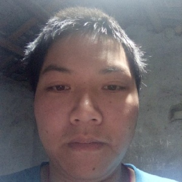 淡定向暖光的照片