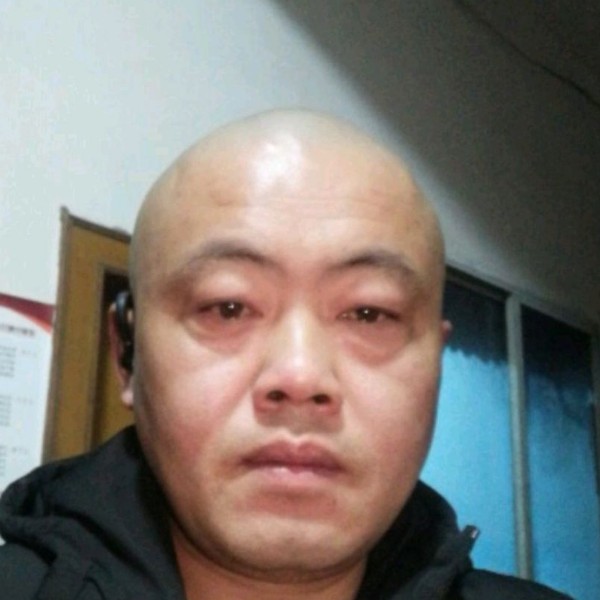 儒雅愿蜜蜂的照片