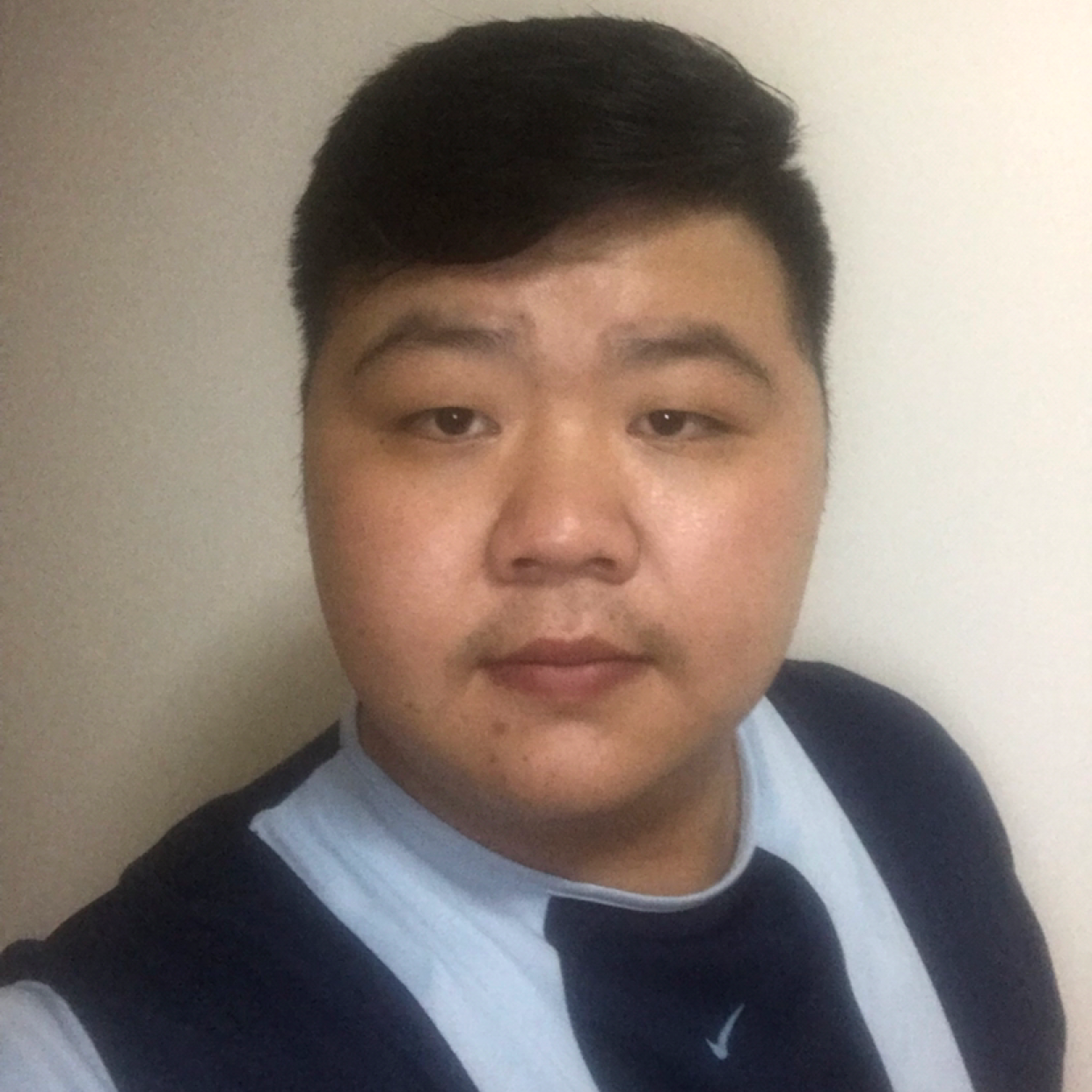 孤独一匹野狼的照片