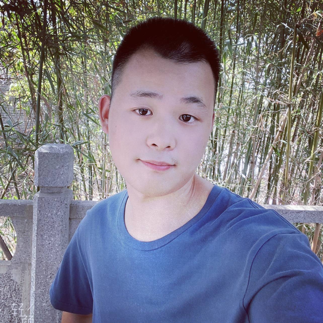 心淡不争的照片