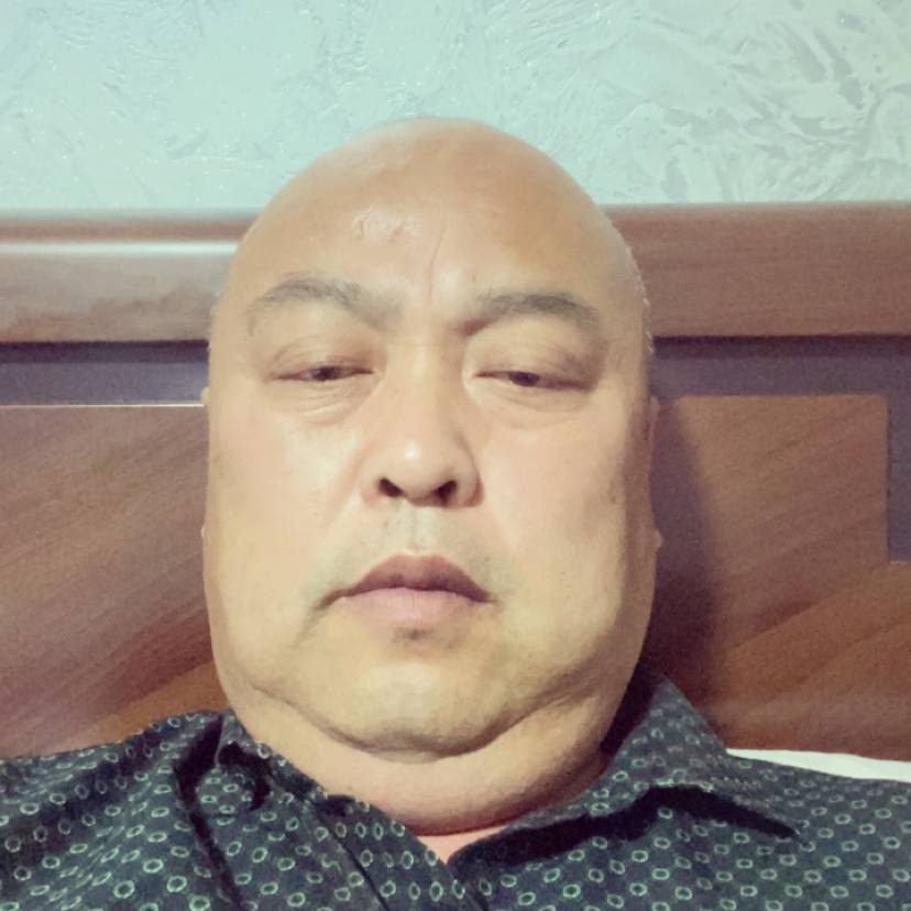 钢笔拿典雅的照片
