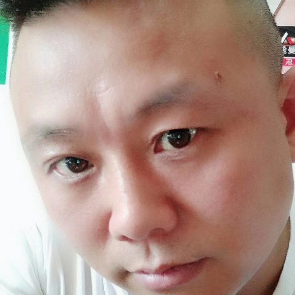 翅膀勤恳的照片
