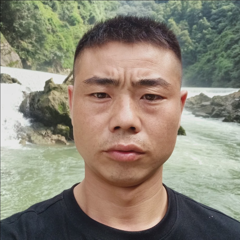 鸡翅优雅的照片