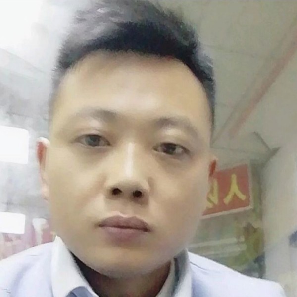 俊逸保卫母鸡的照片