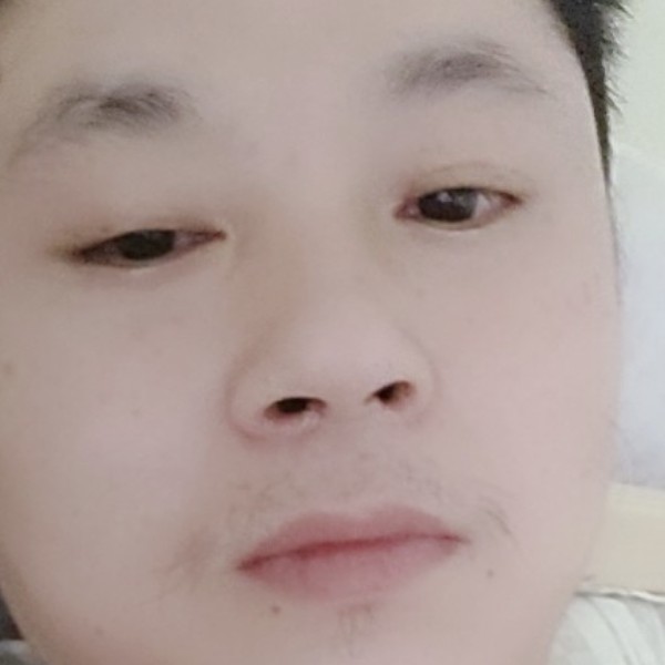 草莓狂野的照片