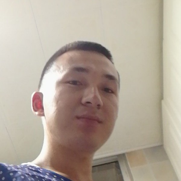 大雁陶醉的照片
