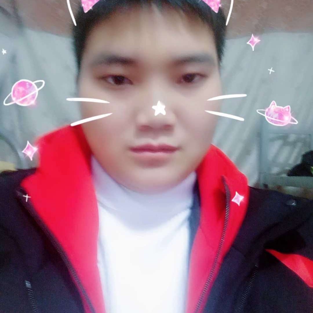 饭宝的照片