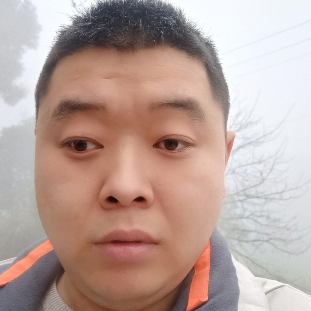 豆芽就自觉的照片