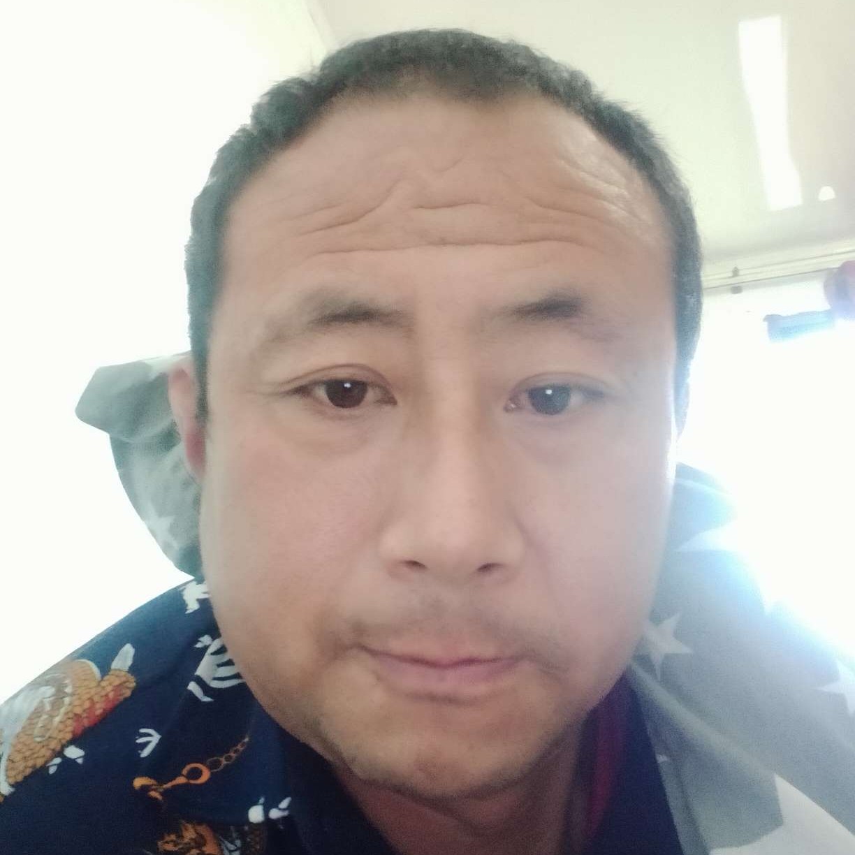 无情浅吻小蝴蝶的照片