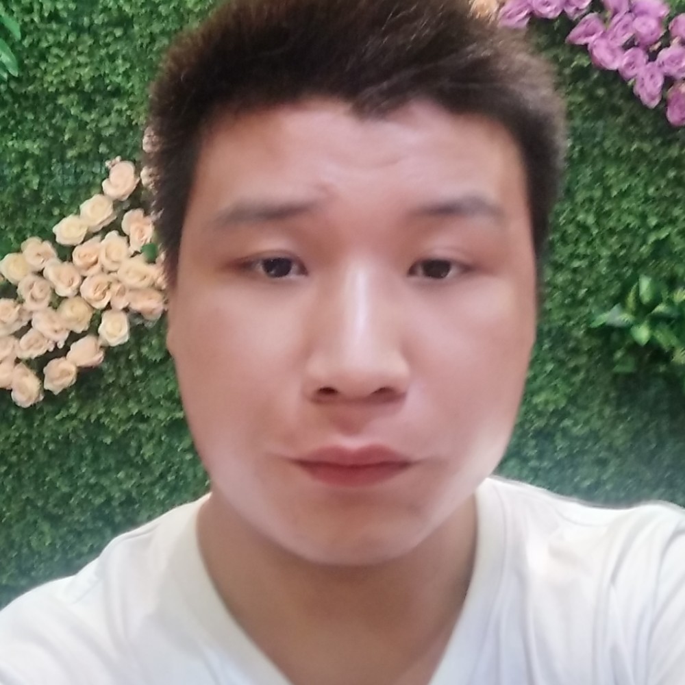 黑猫灵巧的照片