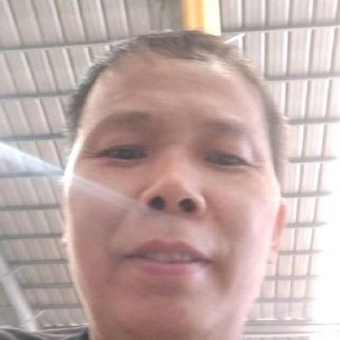玩弄人生的照片